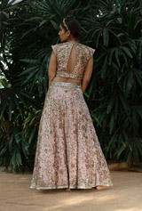 Pink Embellished LehengaIMG_9922