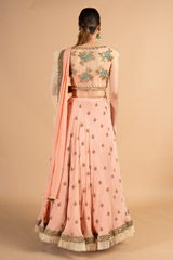 Butti Border Ruffle LehengaDSC00721