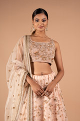 Shimmer Sequins Pastel LehengaDSC09055