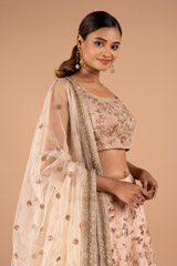 Shimmer Sequins Pastel LehengaDSC09065