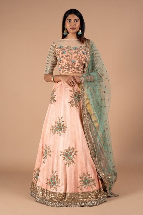 Renuka Butti Border Lehenga Set