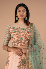 Renuka Butti Border Lehenga SetDSC00341