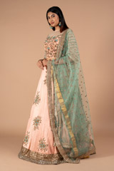 Renuka Butti Border Lehenga SetDSC00343