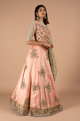 Renuka Butti Border Lehenga SetDSC00344