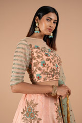 Renuka Butti Border Lehenga SetDSC00345