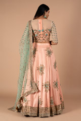 Renuka Butti Border Lehenga SetDSC00347