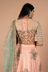 Renuka Butti Border Lehenga SetDSC00348
