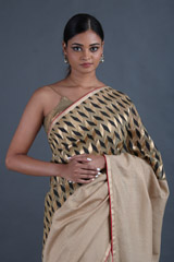 Champagne Silk SareeIMG_9519