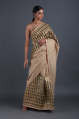 Champagne Silk SareeIMG_9522