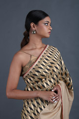 Champagne Silk SareeIMG_9525