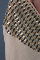 Champagne Silk SareeIMG_9527