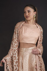 Peach Embellished Lehenga Set_DTR2824