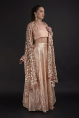 Peach Embellished Lehenga Set_DTR2826