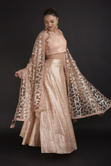 Peach Embellished Lehenga Set_DTR2828