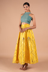 Embellished Skirt with Crop TopDSC09126