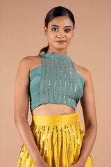 Embellished Skirt with Crop TopDSC09129
