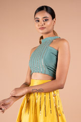 Embellished Skirt with Crop TopDSC09130