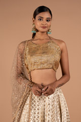 Champagne Gold Lehenga SetDSC08918