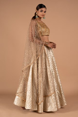 Champagne Gold Lehenga SetDSC08921