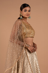 Champagne Gold Lehenga SetDSC08922