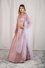 Modest Mauve Panel Lehenga_DSC2822-Edit