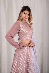 Modest Mauve Panel Lehenga_DSC2824-Edit