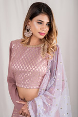 Modest Mauve Panel Lehenga_DSC2827-Edit