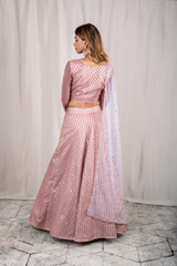 Modest Mauve Panel Lehenga_DSC2830-Edit