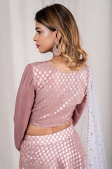Modest Mauve Panel Lehenga_DSC2834-Edit