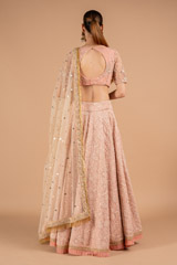 Pearl Adorned  Chikankari lehengaDSC01781