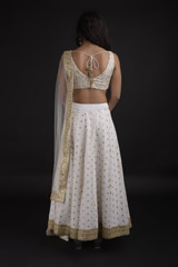 Ivory Dupion Silk Lehenga_SUB8296