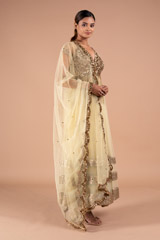 Golden Net AnarkaliDSC09159