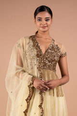 Golden Net AnarkaliDSC09161