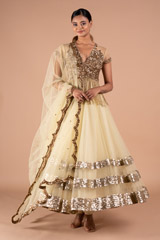 Golden Net AnarkaliDSC09163