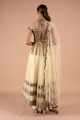 Golden Net AnarkaliDSC09165