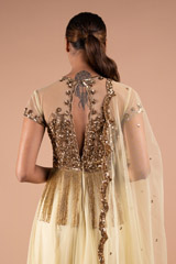 Golden Net AnarkaliDSC09166