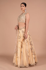 Peach Tulle LehengaDSC07801
