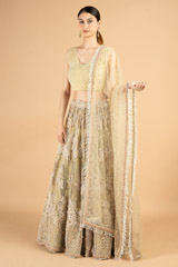 Heavy Embellished Beige lehengaDSC03389