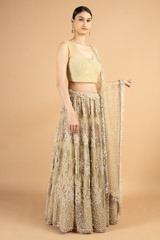 Heavy Embellished Beige lehengaDSC03392