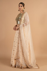 Peach Tulle Lehenga SetDSC01024