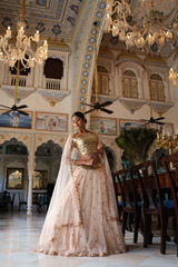 Peach Tulle Lehenga SetDSC03515