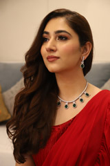 One Shoulder Ruffle Saree3