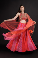Pink Sequin Embellished Lehenga_DSC6426-Edit