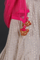 Ghee Cheetah Work LehengaIMG_6147