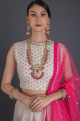 Ghee Cheetah Work LehengaIMG_6159