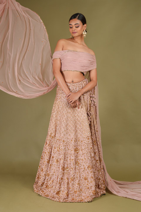 Old Rose Embroidered Lehenga