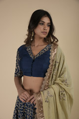 Blue Raw Silk  Lehenga_DTR9180