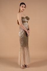 Tube Sequins GownDSC01549