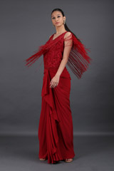 Tassel Saree GownIMG_8441