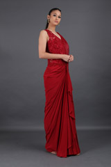 Tassel Saree GownIMG_8449